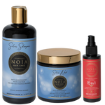 Routine Capillaire SILVER de Noïa Hair Care : Éclat Froid & Anti-Jaunissement – Shampoing + Masque + Leave-in 15-en-1 – Cheveux Blonds, Gris & Méchés Noiahair FR