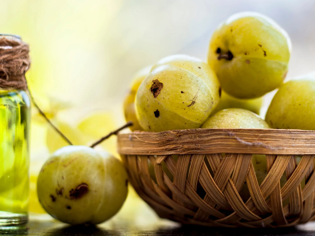 La Renaissance des Soins Capillaires : Découvrez la Magie de l'Huile d'Amla avec Noïa Hair.